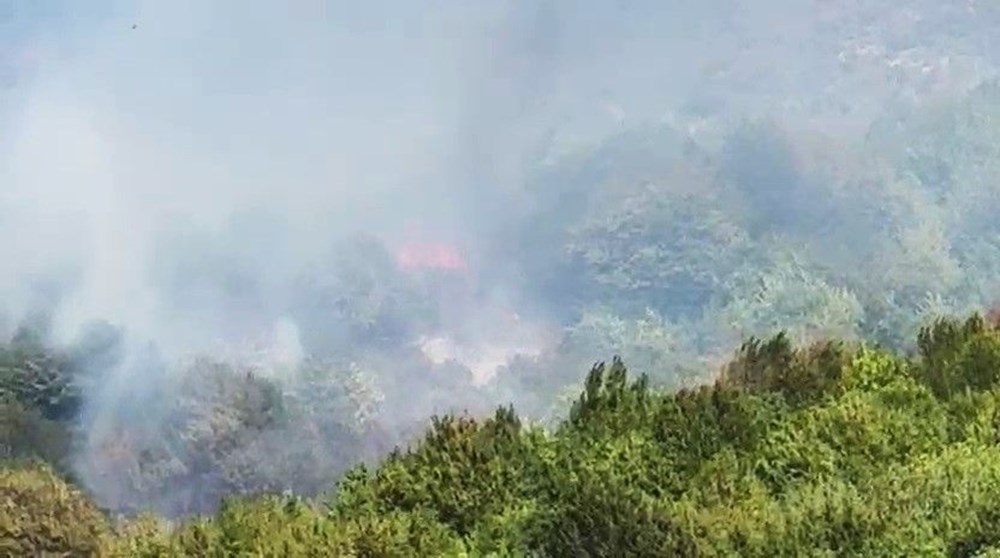 Kocaeli, Bursa ve Karaman'da orman yangını: Karamürsel yangını büyüdü, alevler köye indi! - 15