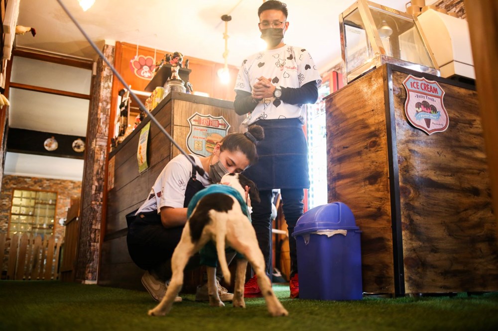 Dünyanın ilk köpek restoranı Bolivya'da açıldı - 8
