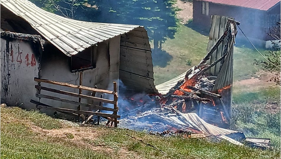 Sakarya'da yayla evi alev alev yandı