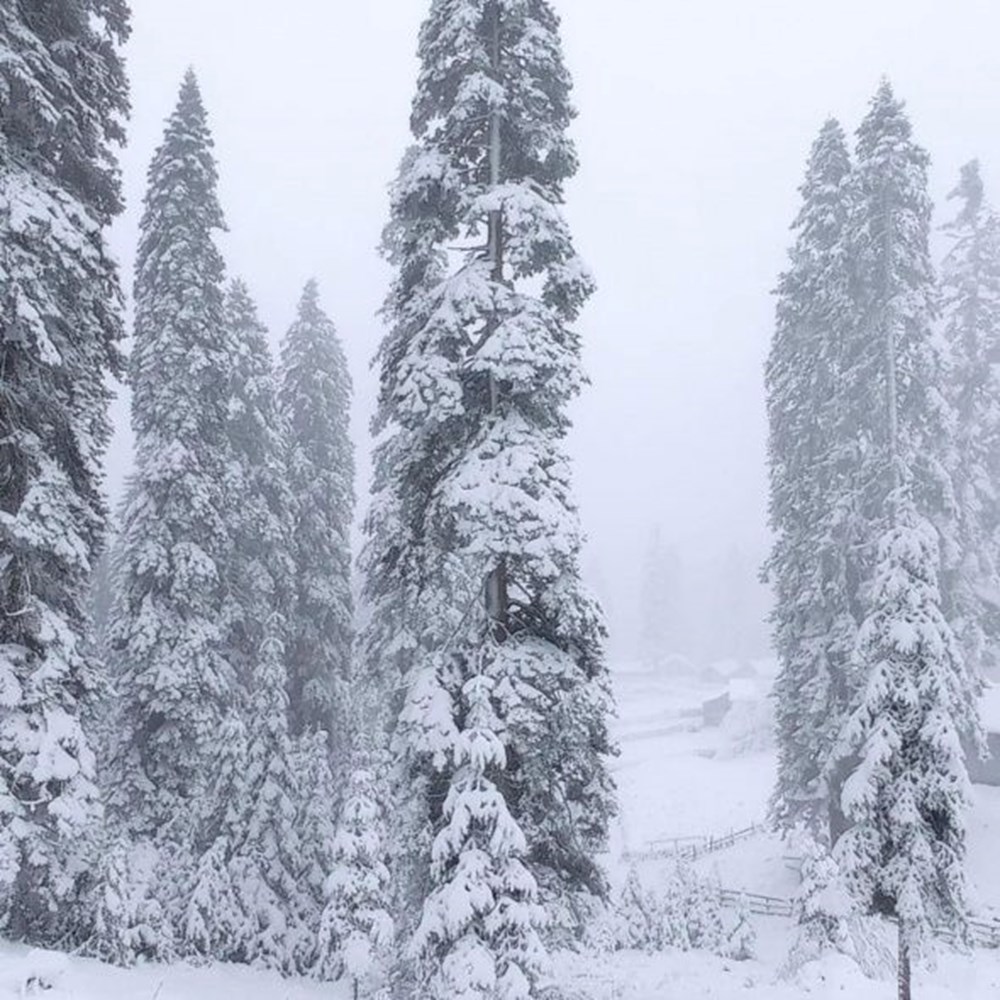 Mevsimin ilk karı düştü: İşte yurttan kar manzaraları - 13