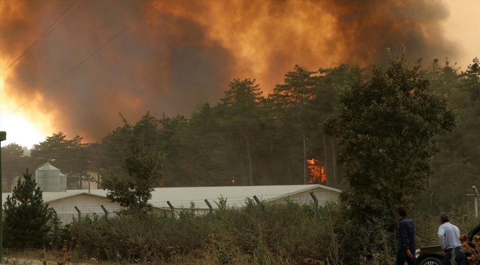 Bolu'daki orman yangını kontrol altına alındı - 2