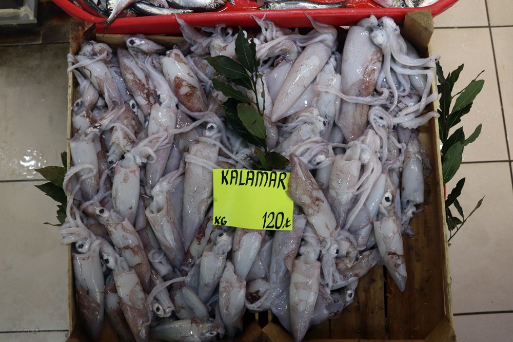 Çanakkale’de havalar ısındı balık tezgahları doldu, fiyat düştü - 11