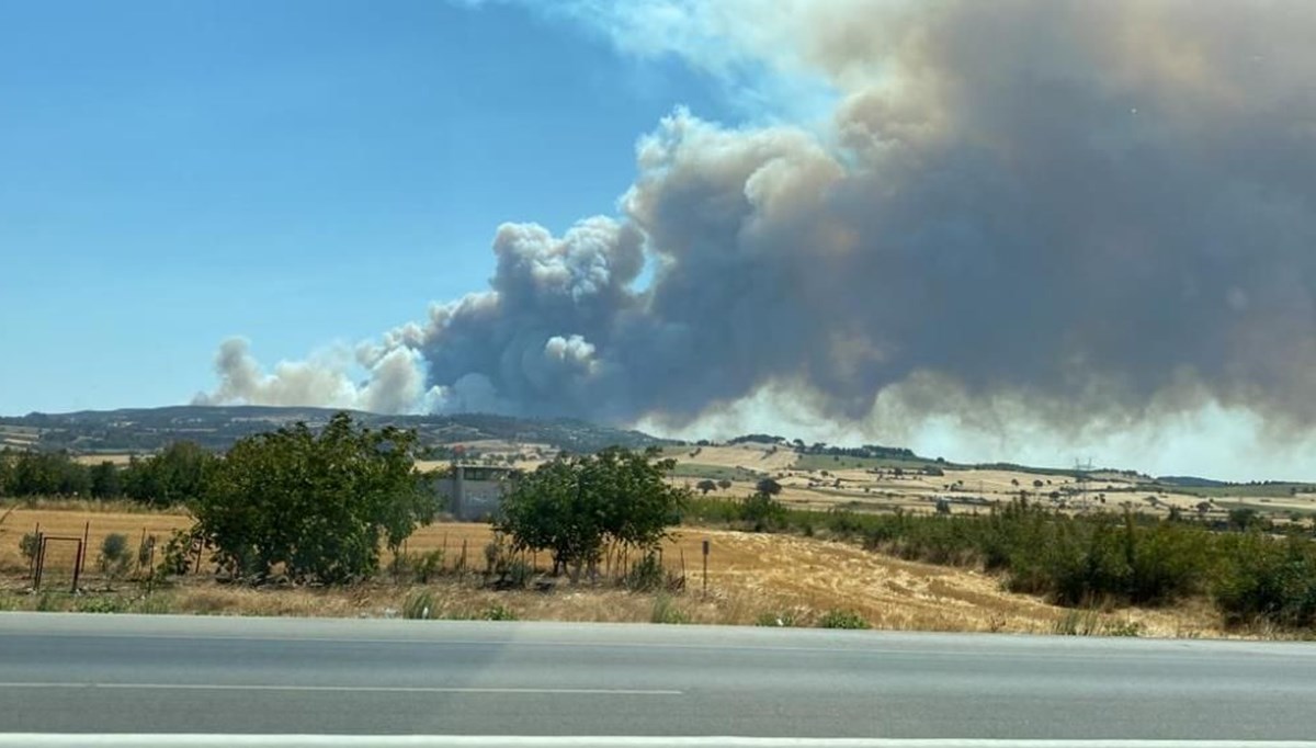 Çanakkale ve İzmir'de orman yangını: Ekipler havadan ve karadan müdahaleye ediyor