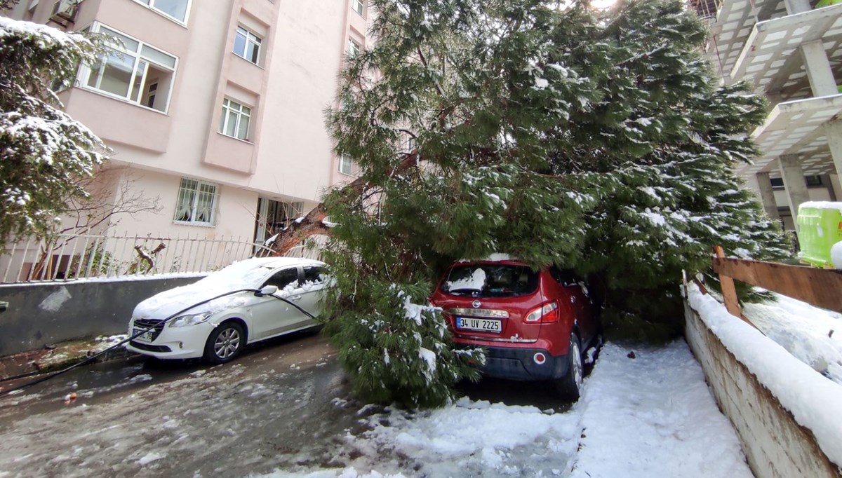 İstanbul'da dallarında kar biriken ağaç otomobilin üzerine devrildi