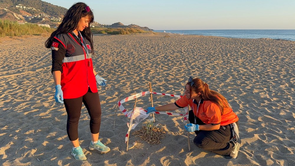 Koparmanın cezası 557 bin TL: Koruma altına alındı - 5