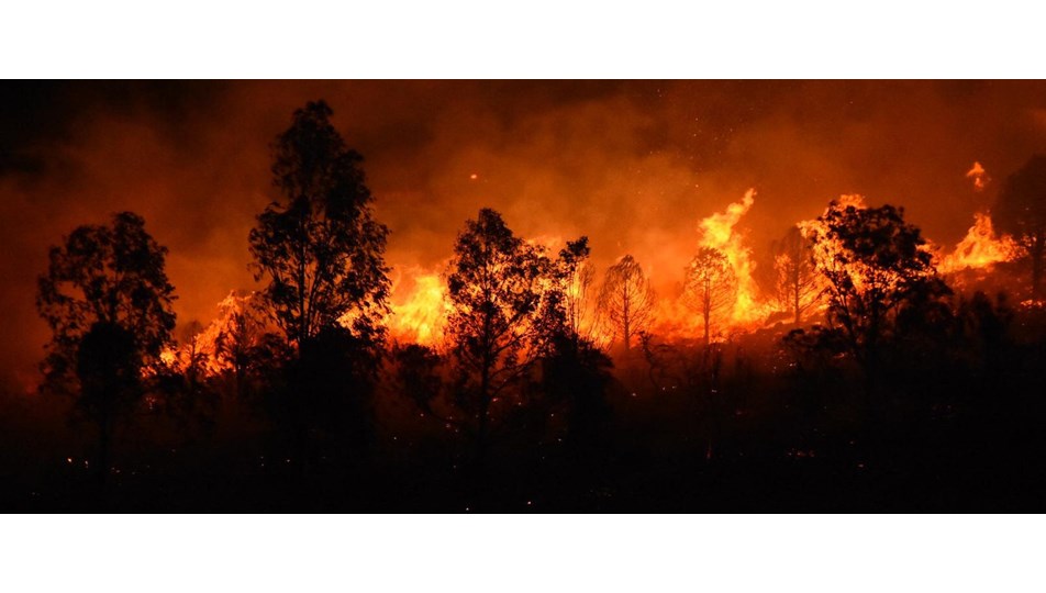 Izmir De Korkutan Yangin Ntv