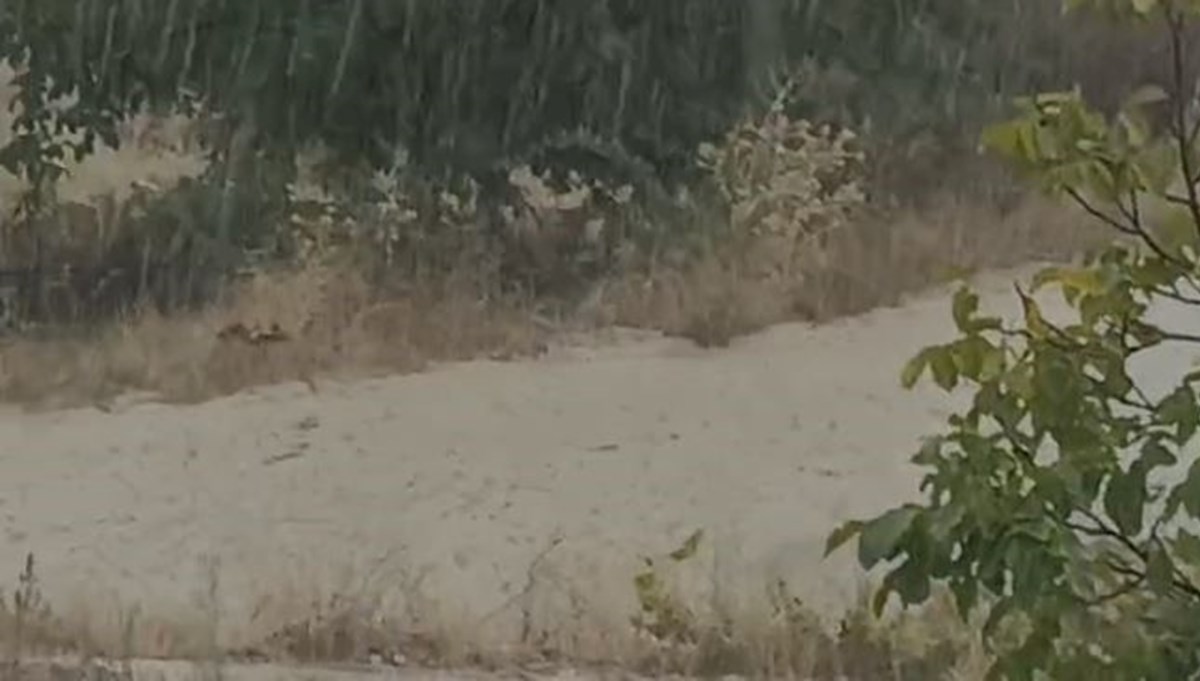 Elazığ'da sağanak yağış sele neden oldu Elazığ'da sağanak yağış sele neden oldu