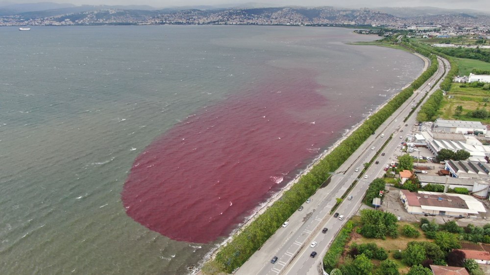 Kocaeli'de Kilez Deresi'ni atık su ile kırmızıya boyayan firmaya ceza - 13