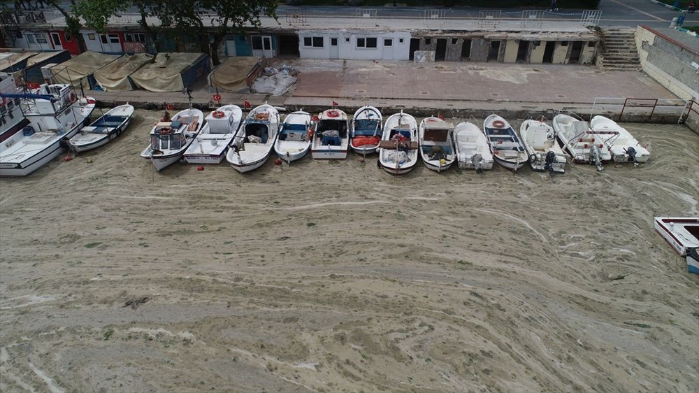 Türkiye’nin geleceğini tehdit eden deniz salyası ABD basınının gündeminde - 6