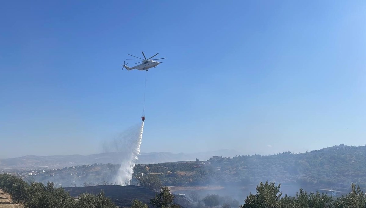 Hatay'da zeytinlik ve ormanlık alanda yangın