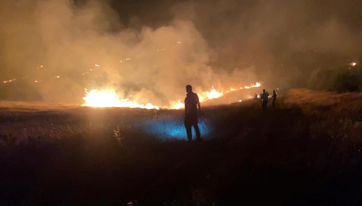 Şanlıurfa'da ormanlık alandaki yangın söndürüldü Şanlıurfa'da ormanlık alandaki yangın söndürüldü