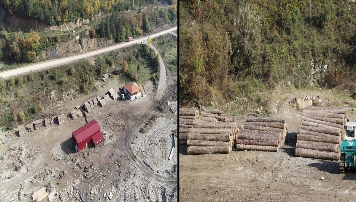 Sinop’ta afet getiren tomruklar hala dere yatağında