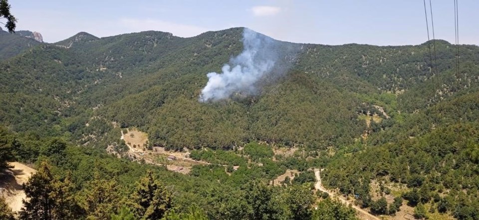 Muğla, Hatay ve Eskişehir'de çıkan orman yangınları kontrol altına alındı - 1