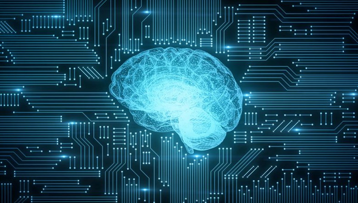 İnsan beyninden "yaşayan bilgisayar" üretildi