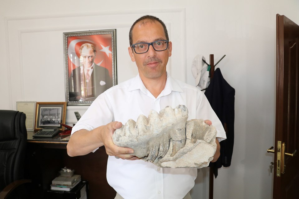 Yozgat'ta 8 milyon yıllık fosil bulundu - 2
