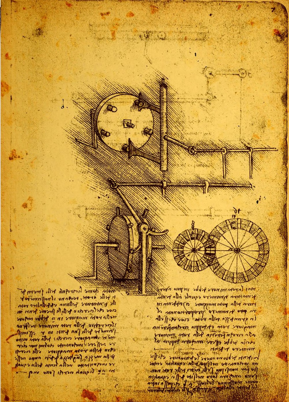 Leonardo Da Vinci’nin soyağacının 700 yılı ortaya çıkarıldı: Yaşayan 14 torunu bulundu - 7