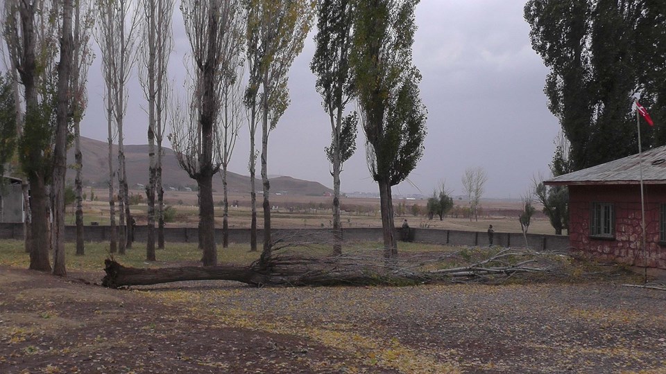 Muş'ta okul bahçesinde ağaç devrildi: 1 ölü - 1