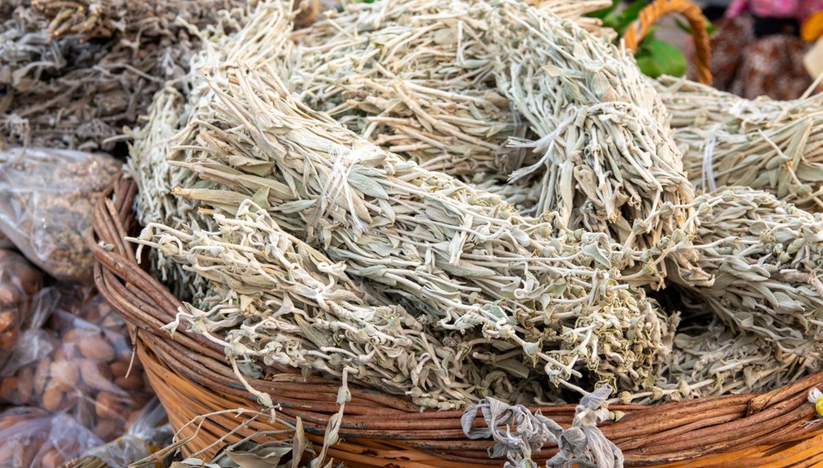 Stresi azaltıyor, hafızayı güçlendiriyor: Mucize bitkinin faydaları kanıtlandı