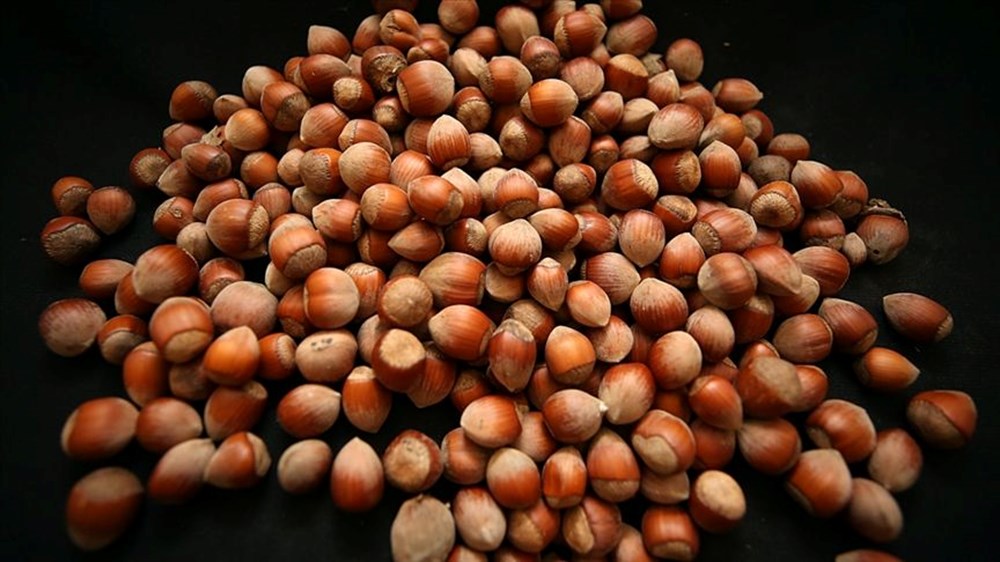 Doktorların tavsiye ettiği 5 yaşlanma karşıtı yiyecek - 4