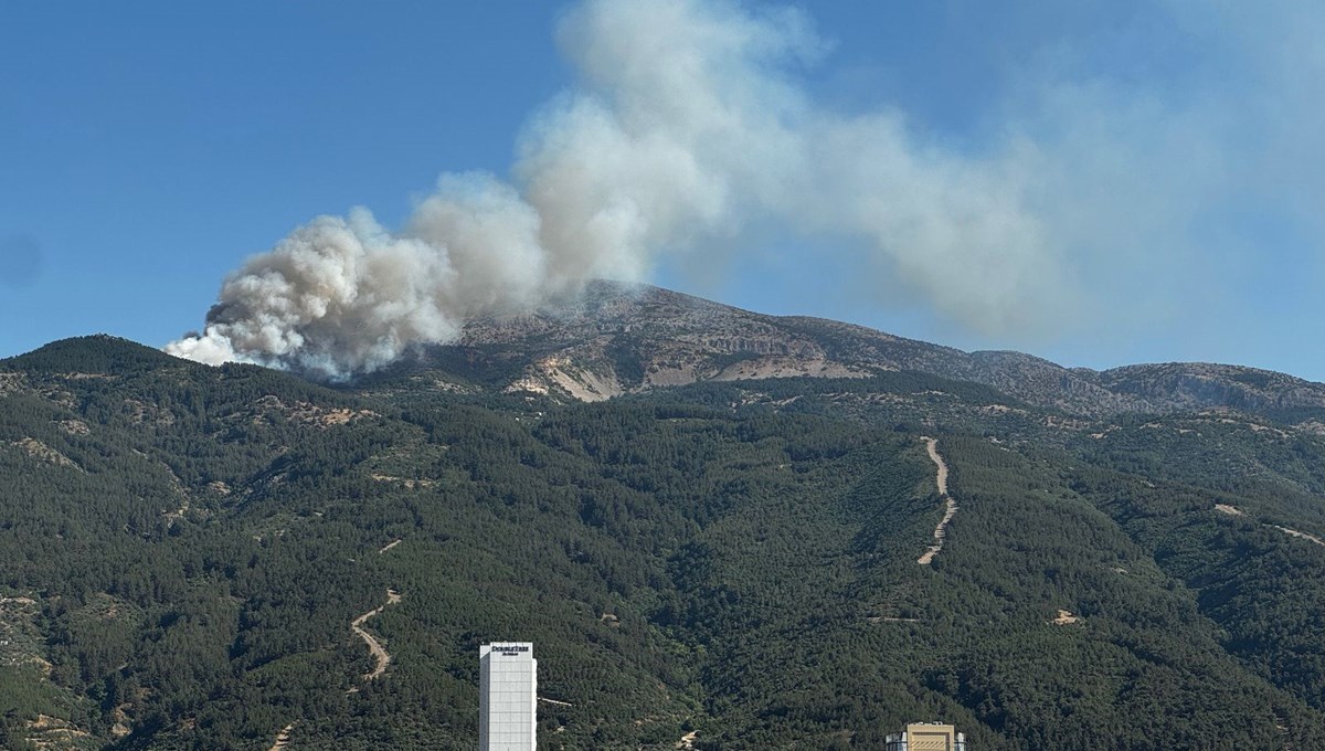 Spil Dağı'nda orman yangını