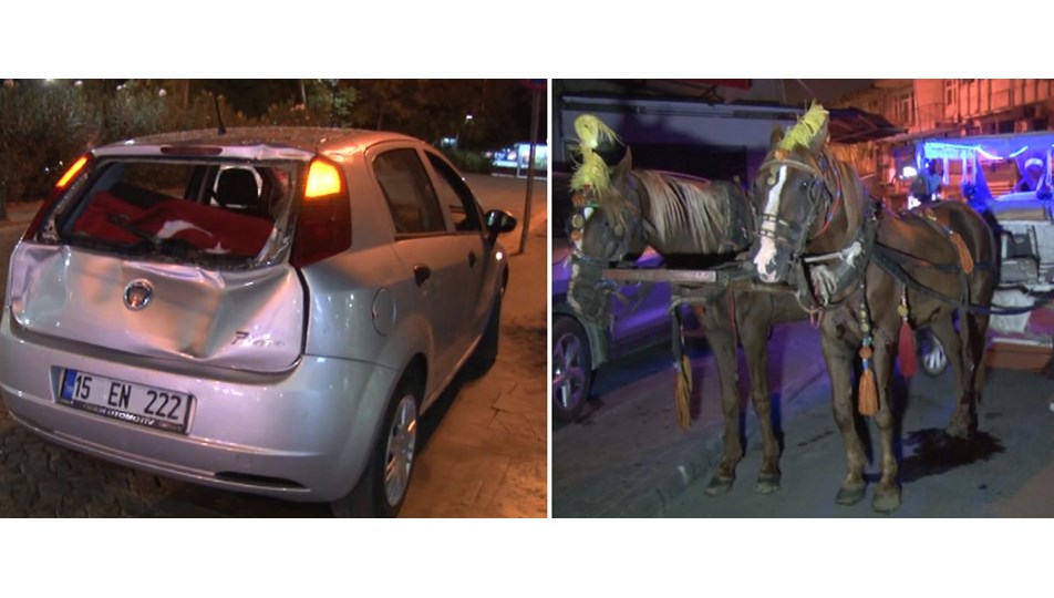 Faytona koşulan at ürkünce otomobilin üstüne çıktı