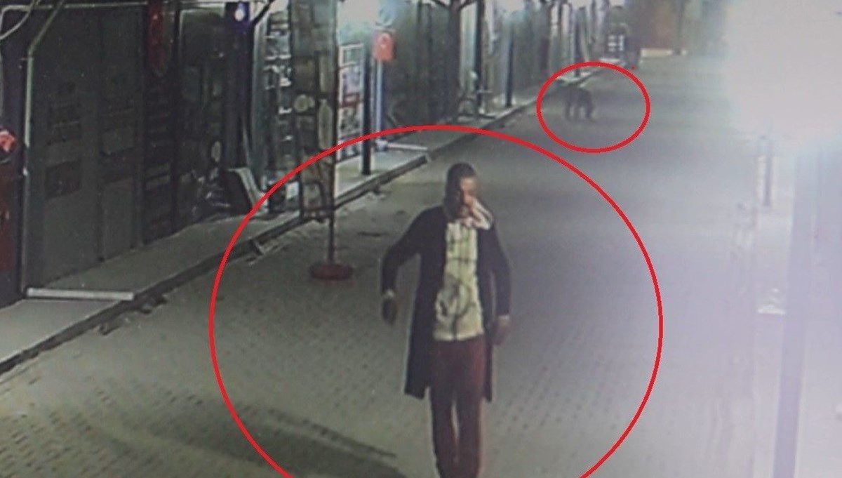 Hatay'da vahşet! Kedileri köpeklere parçalatan kişi gözaltına alındı Hatay'da vahşet! Kedileri köpeklere parçalatan kişi gözaltına alındı