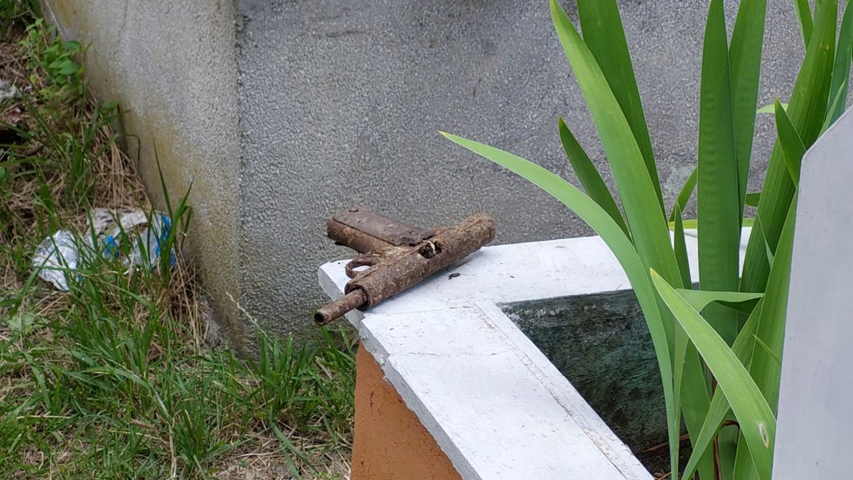 d8L0jZOVnEKCzw03ajw4Dg.jpg