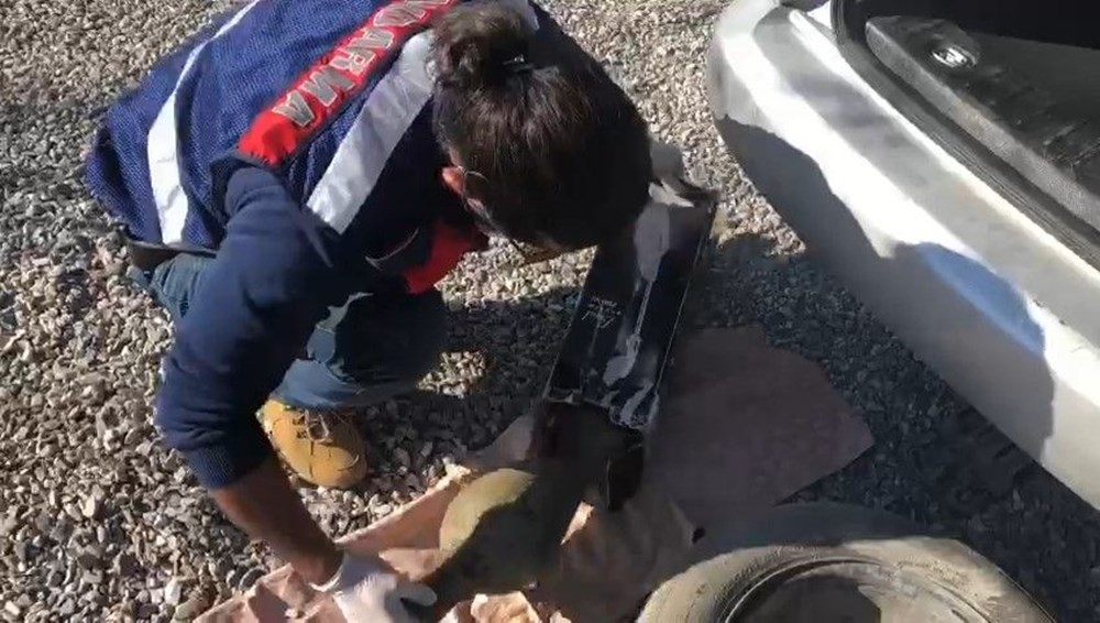 Paha biçilemez eserler süpürge kutusundan çıktı - 2