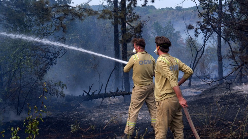 Türkiye'nin ciğerleri yanıyor: İşte yangınlarda son durum - 21