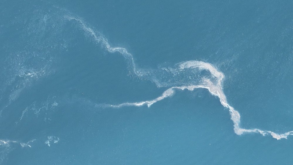 İstanbul Sularında Alarm: Müsilaj Kabusu Geri mi Dönüyor? 73 d9YKYzOsrU2 KlvIjNlbjA