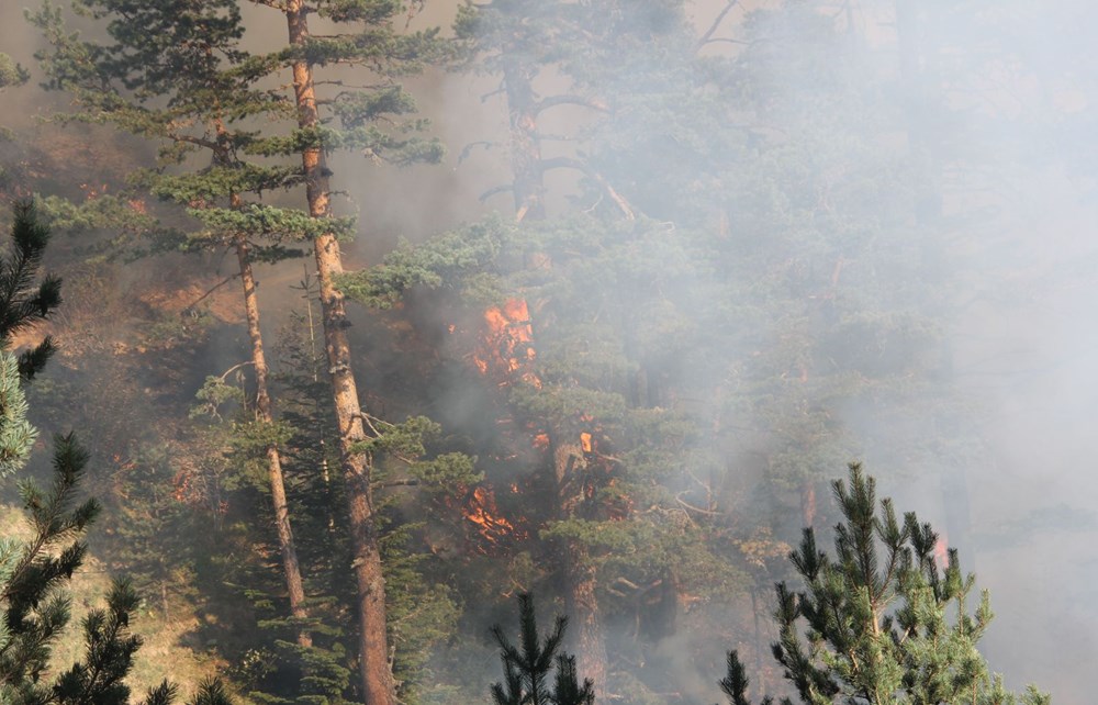 Kastamonu'daki yangın 4 gündür söndürülemiyor - 7