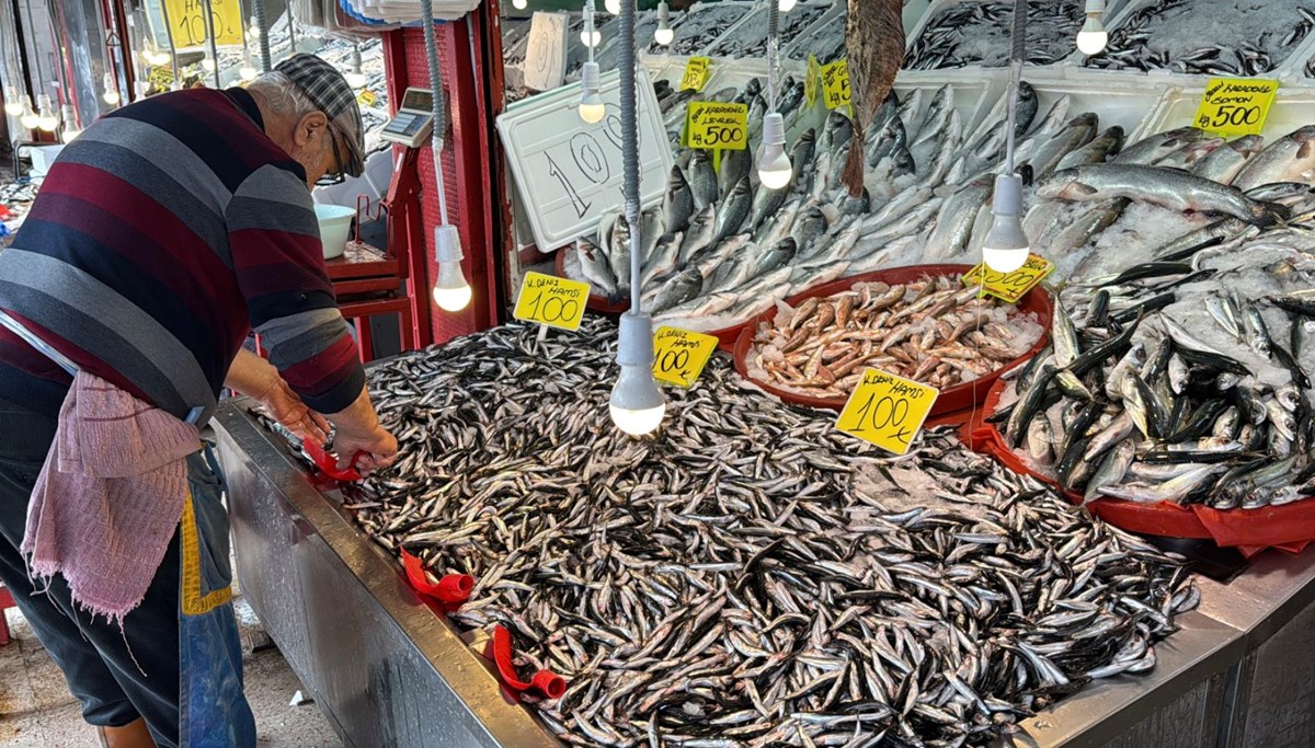 Kilosu 100 TL'ye düştü: Havalar soğudu, bolca avlandı Kilosu 100 TL'ye düştü: Havalar soğudu, bolca avlandı