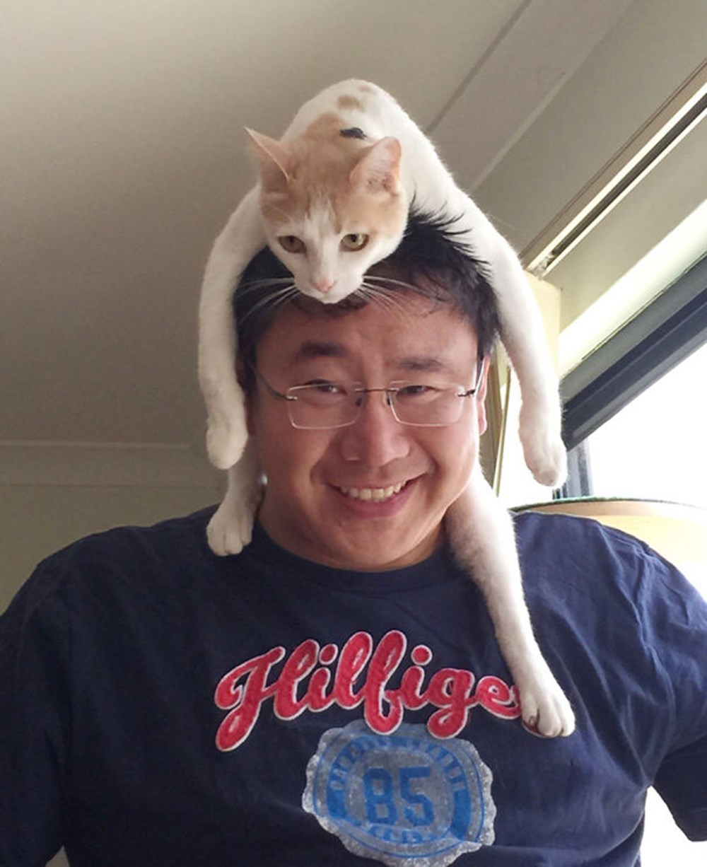 кошка вместо шапки. тренд с котами. коты и хозяева. кошка вместо шапки. шапка из живого кота.