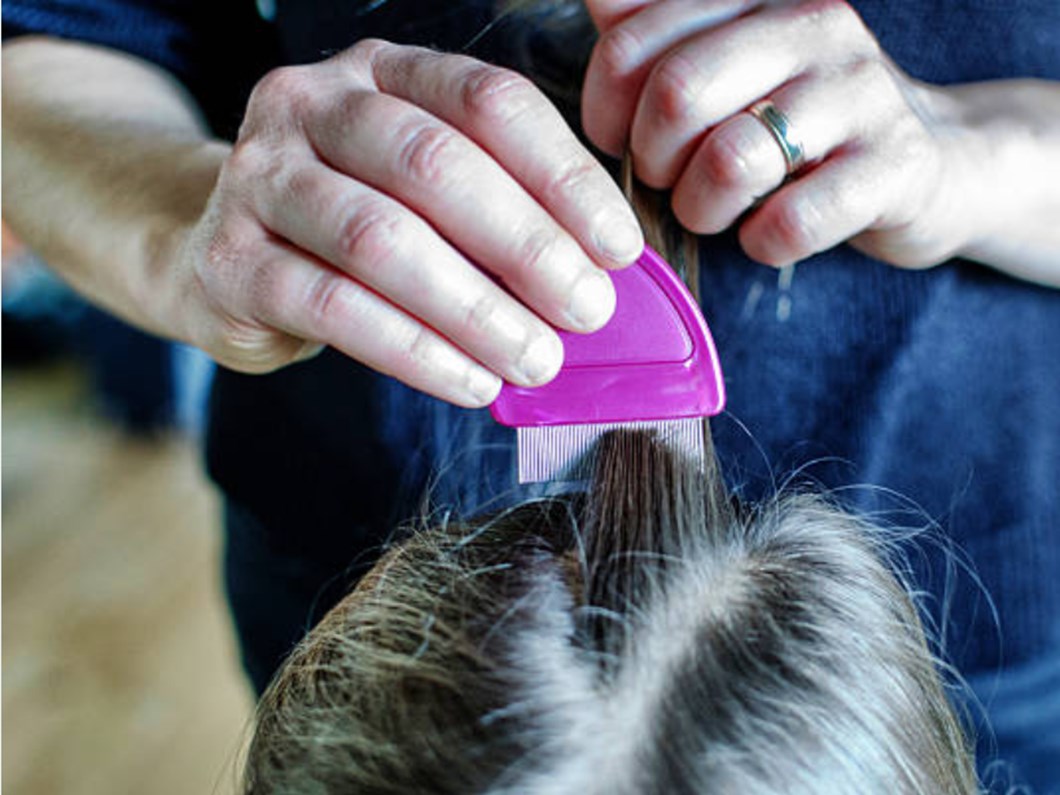 bit nasil bulasir nasil temizlenir