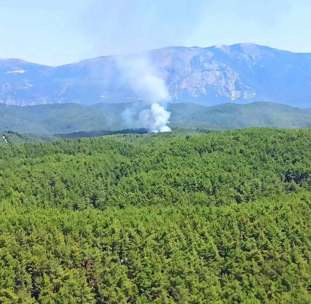 Muğla ve Aydın’da yangın (Havadan ve karadan müdahale ediliyor) - 4