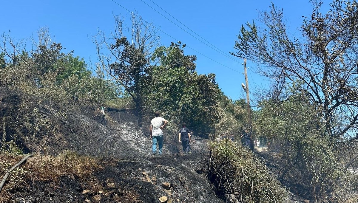 Samsun'da fındık bahçesinde yangın Samsun'da fındık bahçesinde yangın