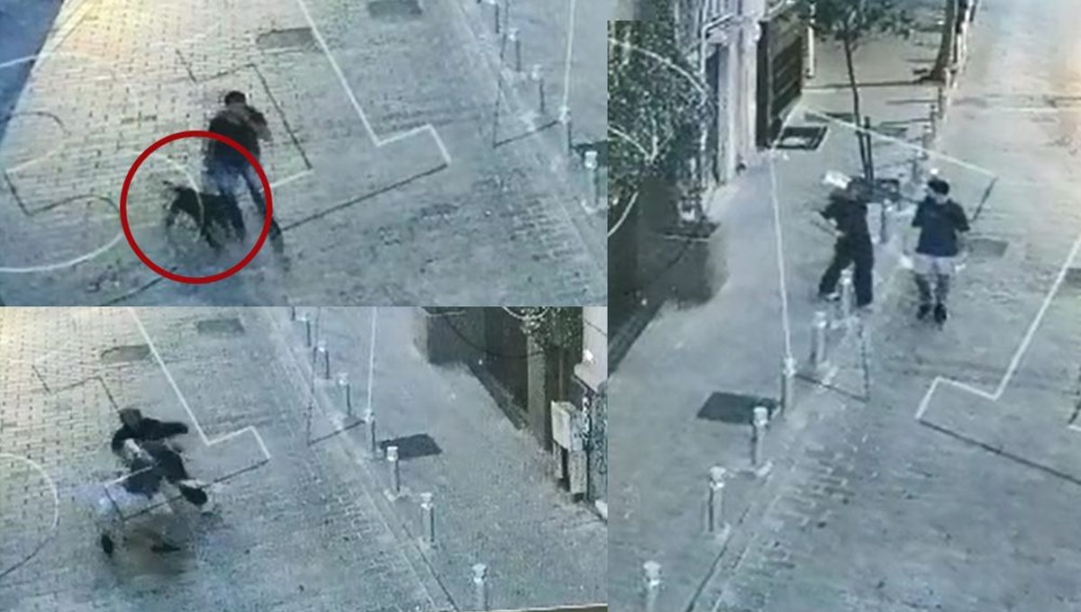 Beyoğlu'ndaki pitbullu gaspçılar yakalandı