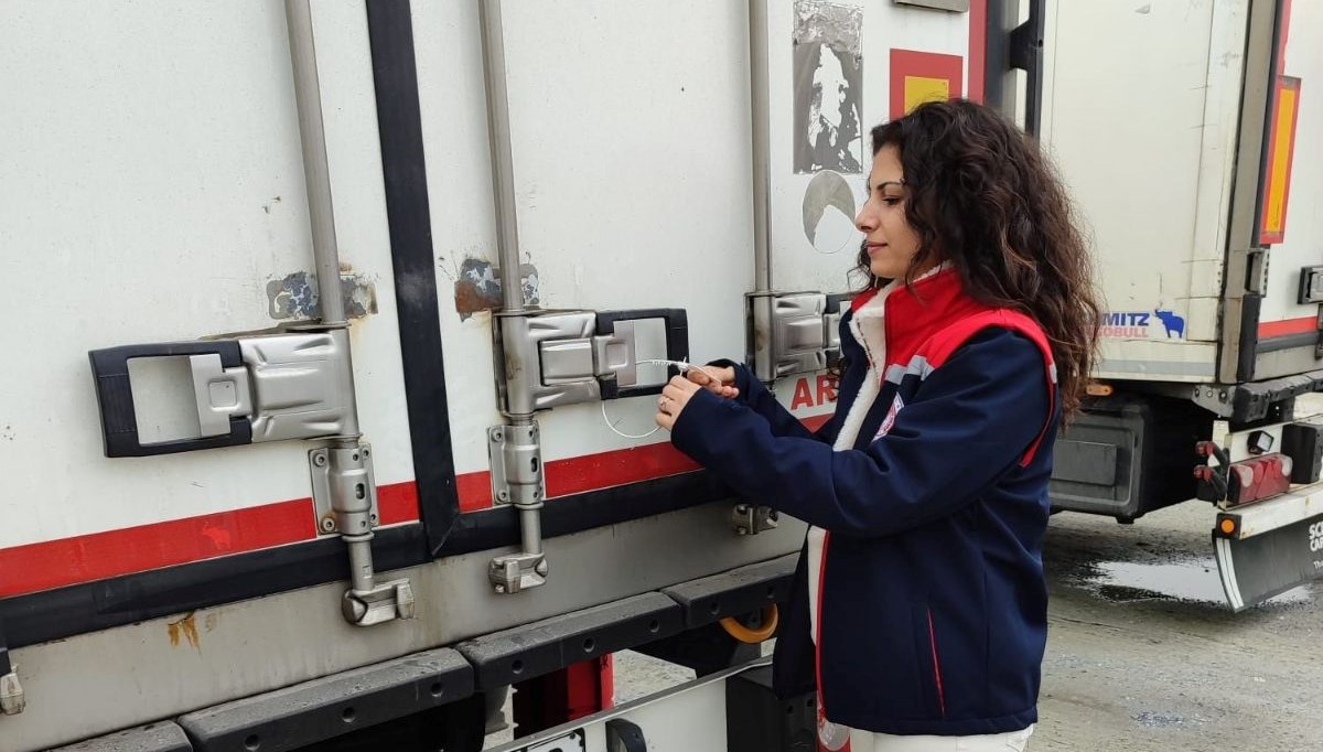 Rusya ve İtalya balığı Aydın'dan alıyor: 4 TIR hazırlandı