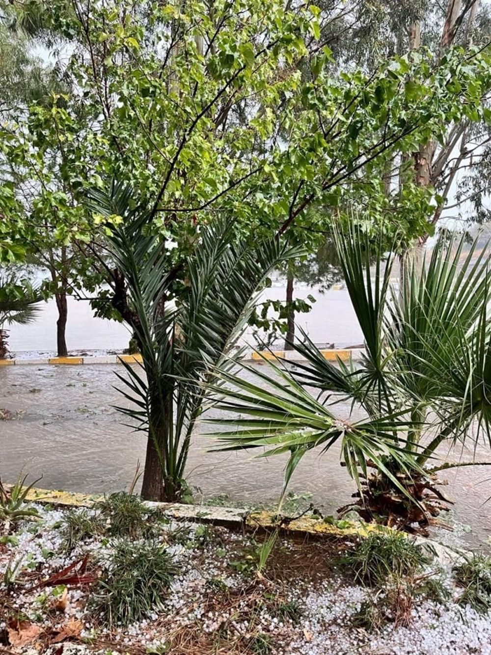 Mersin'de sel can aldı - 5