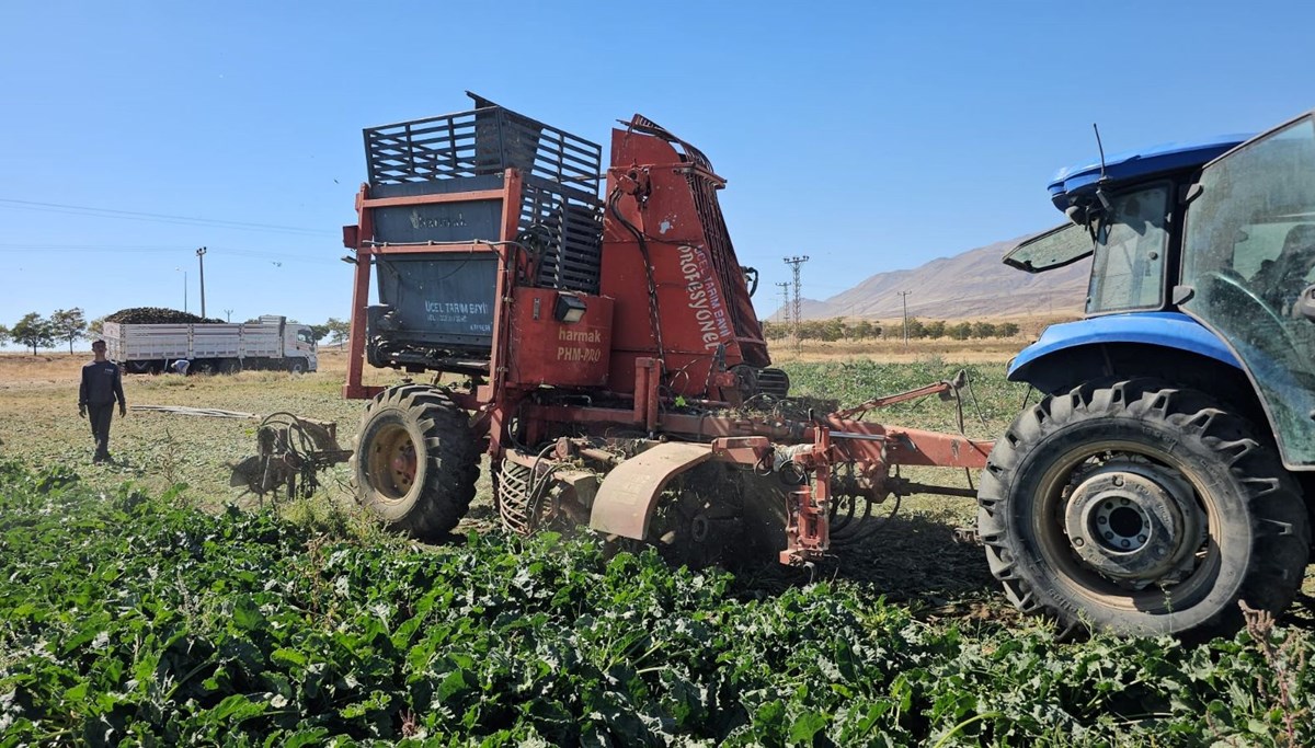 En önemli geçim kaynaklarından biri: Sabah saatlerinde sökümü başladı