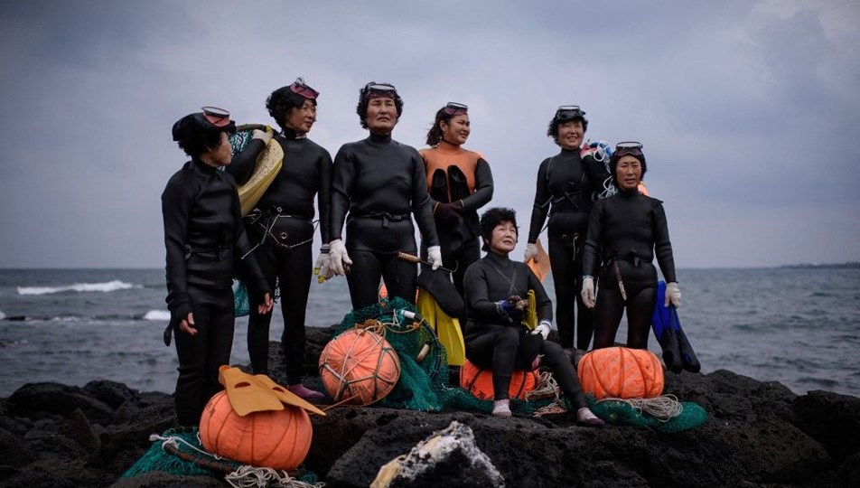 Güney Kore'nin kadın dalgıçları su altında yaşam için mi evrimleşti? Yeni kanıtlar bulundu