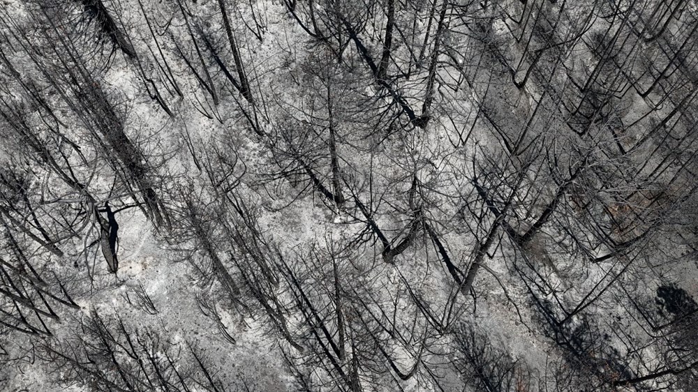 Tam 54 saat sürdü! Karabük'te yanan alanlar havadan görüntülendi - 6