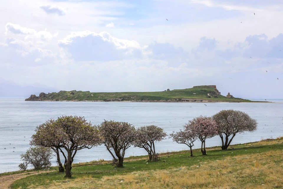 Van Gölü'nün el değmemiş güzelliği 'Çarpanak Adası' - 1