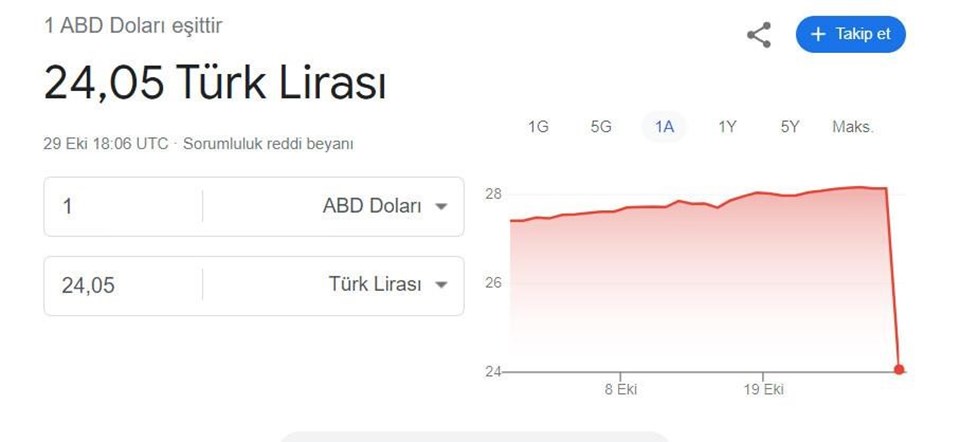 Google'da dolar hatası: 4 lira birden düştü - 1
