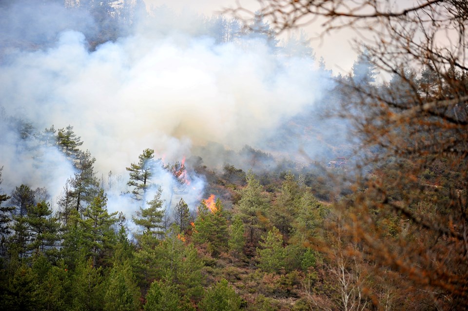 Bursa'da orman yangını - 1