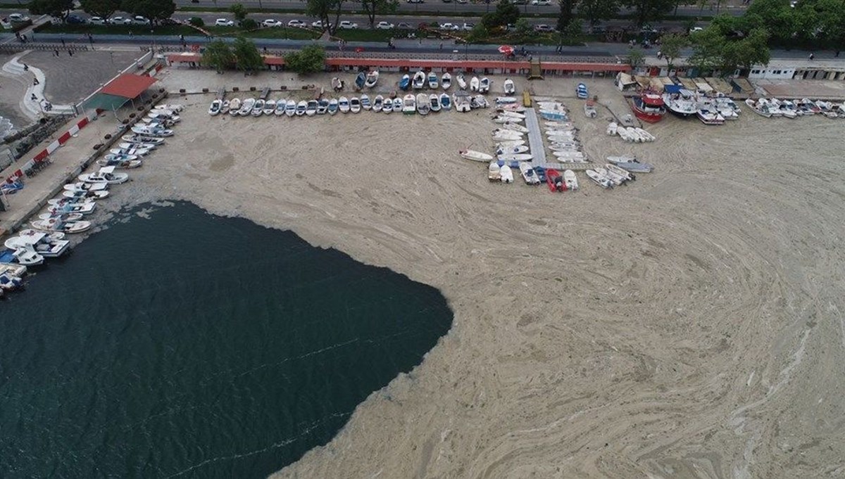 SON DAKİKA: Deniz salyası için Meclis komisyonu