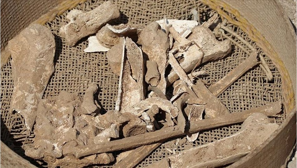 Konya'da yıkım çalışması yapılan alanda insan kemikleri bulundu
