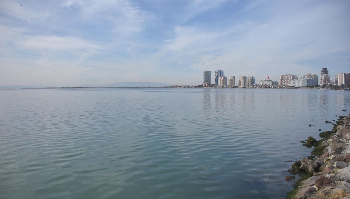 İzmir'de denizin rengi marulların temizlenmesiyle maviye döndü