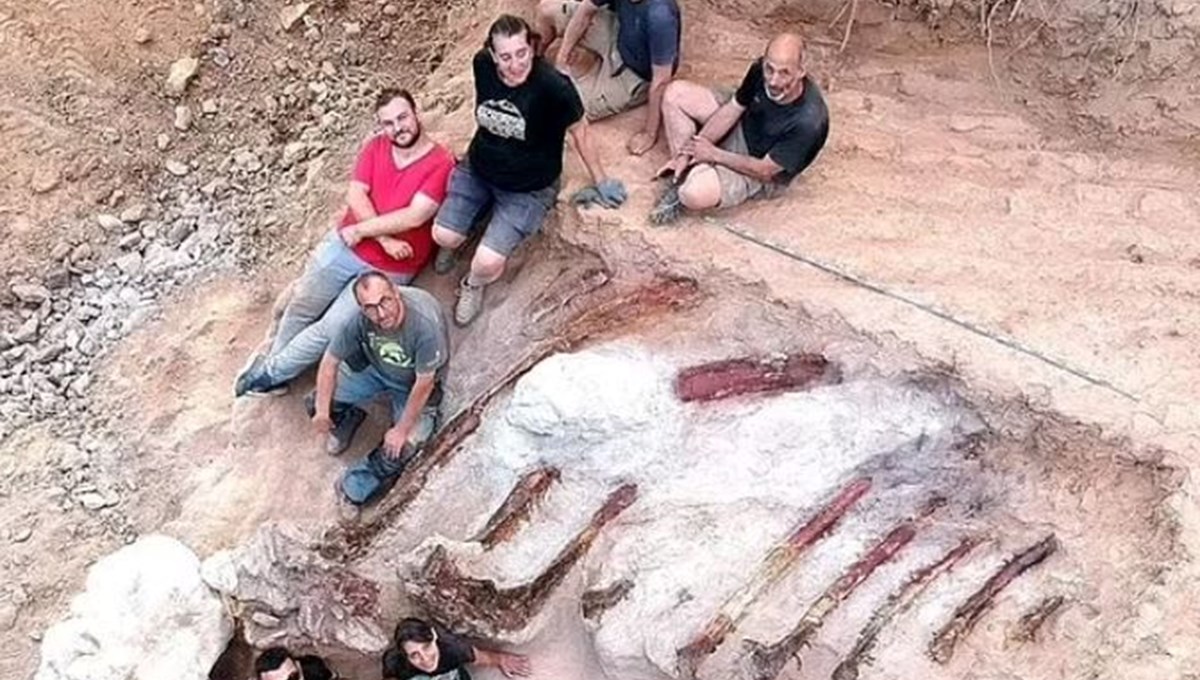 Portekiz'de 160 milyon yıllık dinozor fosili bulundu: Avrupa'nın en büyüğü