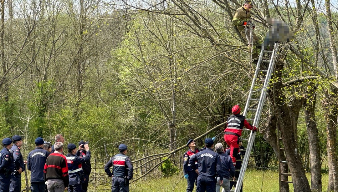 Ağaç budarken kalp krizi geçirip can verdi
